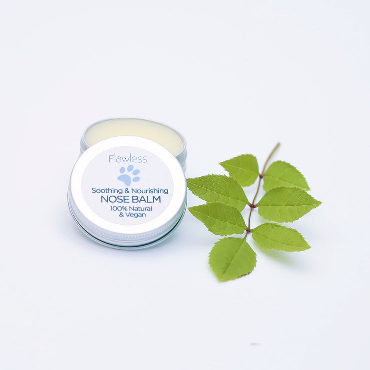 Nose Balm for Dogs - Soothing & Nourishing