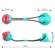 Interactive Molar Chew Ball