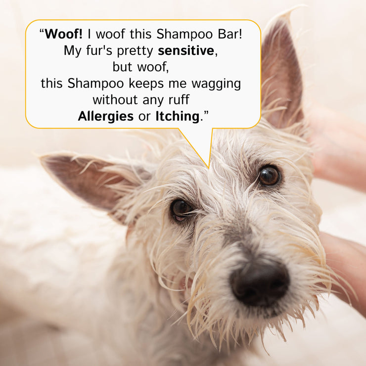 Dog Shampoo Bar and Conditioner