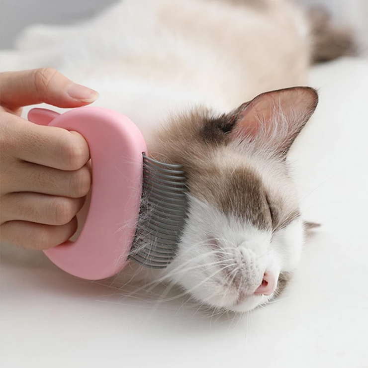 Pet Massage Brush Pet Grooming Massage Tool To Remove Loose Hairs